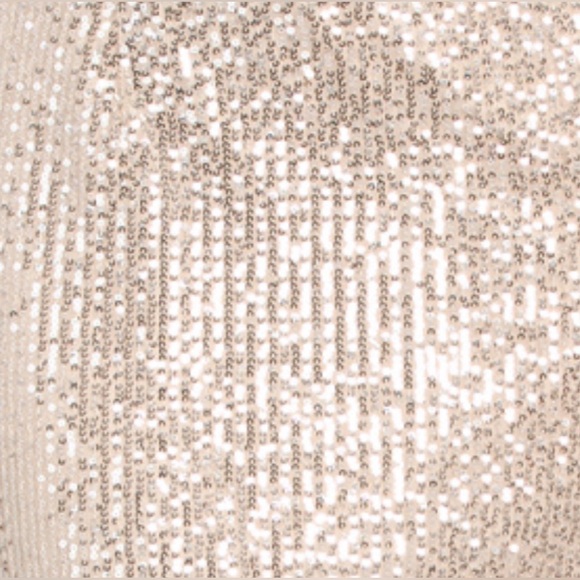 IEENA MAC DUGGAL GATHERED BUST SEQUINED SLEEVELESS COLUMN GOWN NUDE SILVER MAXI - Picture 7 of 7